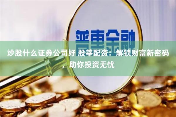 炒股什么证券公司好 股莘配资：解锁财富新密码，助你投资无忧